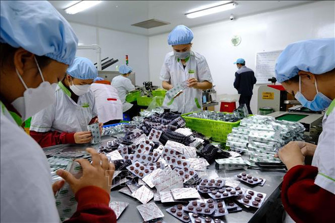 Aprueba Vietnam estrategia de desarrollo de industria farmacéutica hasta 2030 ảnh 2 Aprueba Vietnam estrategia de desarrollo de industria farmacéutica hasta 2030 ảnh 2