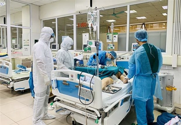 Debaten medidas de tratamiento adecuadas para los pacientes del COVID-19 en estado crítico ảnh 1 Debaten medidas de tratamiento adecuadas para los pacientes del COVID-19 en estado crítico ảnh 1