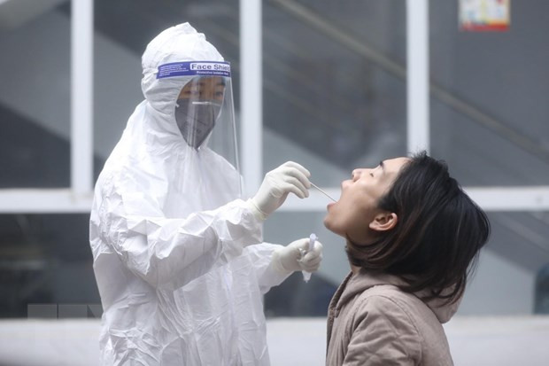 Detectan en Vietnam primer caso de nueva cepa de coronavirus procedente de Sudáfrica ảnh 1 Detectan en Vietnam primer caso de nueva cepa de coronavirus procedente de Sudáfrica ảnh 1