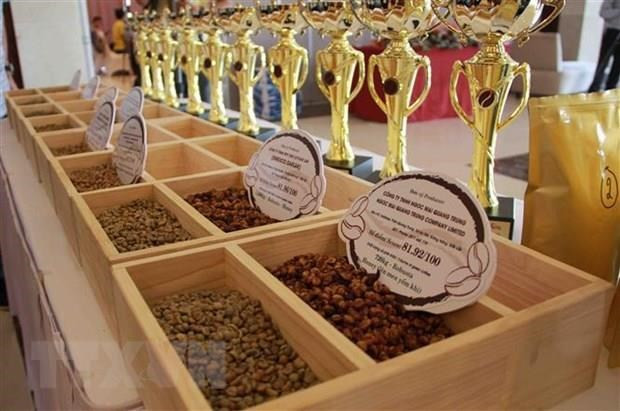 Exportaciones de café registran señales positivas en 2021 ảnh 2 Exportaciones de café registran señales positivas en 2021 ảnh 2