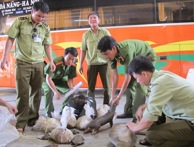 Honran a vietnamitas por esfuerzos en protección de animales salvajes ảnh 1 Honran a vietnamitas por esfuerzos en protección de animales salvajes ảnh 1