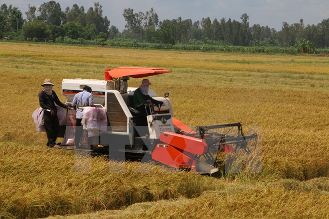 Urgen a empresas japonesas a inyectar inversión en agricultura ảnh 1 Urgen a empresas japonesas a inyectar inversión en agricultura ảnh 1