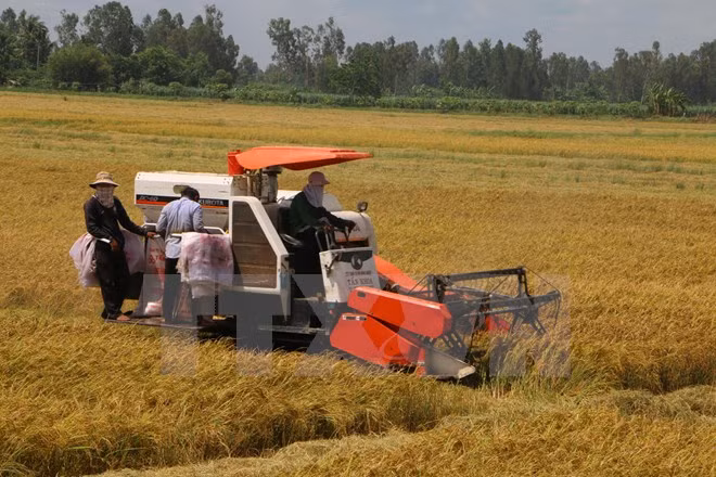 Urgen a empresas japonesas a inyectar inversión en agricultura ảnh 1