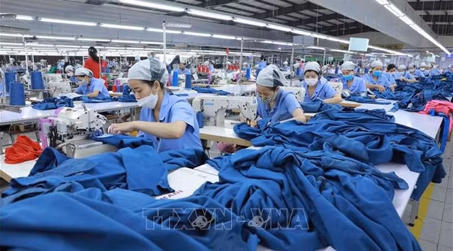 Hanoi goza de crecimiento de 22 por ciento en número de nuevas empresas en primeros ocho meses ảnh 1