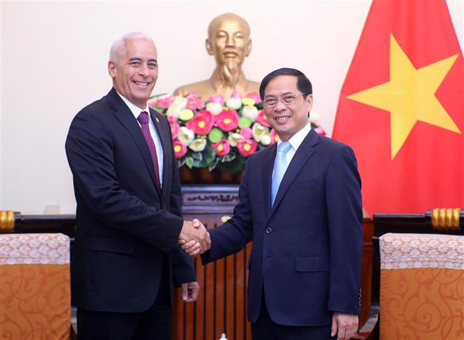 Fortalecen lazos políticos especiales y cooperación integral entre Vietnam y Cuba ảnh 1 Fortalecen lazos políticos especiales y cooperación integral entre Vietnam y Cuba ảnh 1