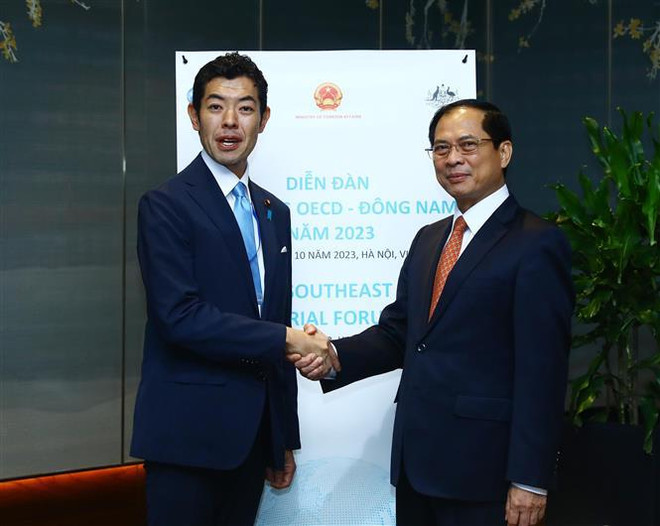 Desarrollan la cooperación efectiva y sustantiva entre Vietnam y OECD ảnh 2 Desarrollan la cooperación efectiva y sustantiva entre Vietnam y OECD ảnh 2