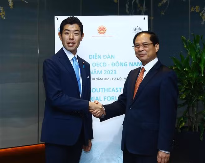 Desarrollan la cooperación efectiva y sustantiva entre Vietnam y OECD ảnh 2