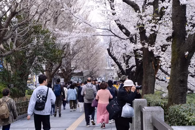 Vietnam y Japón buscan solventar sobrecarga turística ảnh 1
