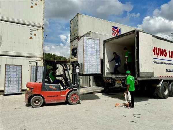 Vietnam exporta primer lote de néctar de coco a EE.UU. ảnh 1 Vietnam exporta primer lote de néctar de coco a EE.UU. ảnh 1