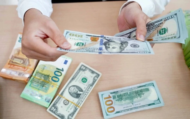 Gran aumento de remesas enviadas a Ciudad Ho Chi Minh ảnh 1