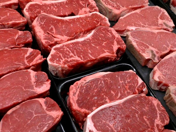 Grupo vietnamita de Hoa Phat importa ganado bovino de Australia ảnh 1 Grupo vietnamita de Hoa Phat importa ganado bovino de Australia ảnh 1