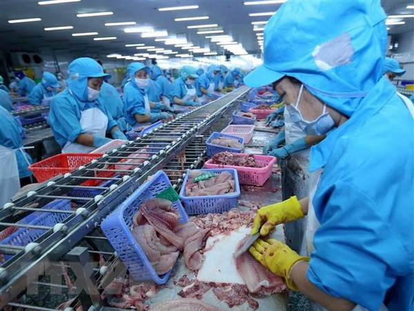 Disminuyen exportaciones pesqueras de Vietnam en primer tercio del año ảnh 1 Disminuyen exportaciones pesqueras de Vietnam en primer tercio del año ảnh 1