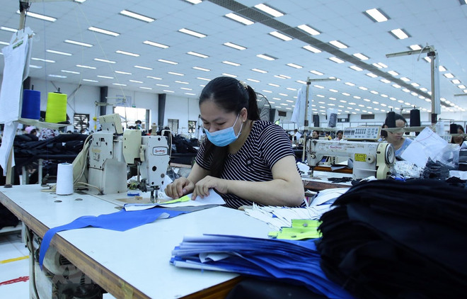 Empresas vietnamitas se enfocan en explotar mercado doméstico ảnh 1 Empresas vietnamitas se enfocan en explotar mercado doméstico ảnh 1