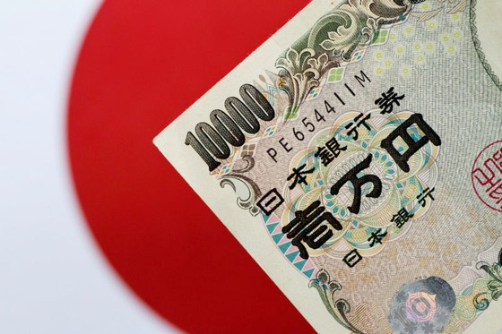 Japón estimula a sus empresas a trasladar negocios al Sudeste Asiático ảnh 1 Japón estimula a sus empresas a trasladar negocios al Sudeste Asiático ảnh 1