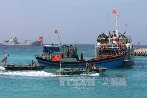 Sociedad vietnamita de Pesca se opone a reglamentación china sobre veda en Mar del Este ảnh 1 Sociedad vietnamita de Pesca se opone a reglamentación china sobre veda en Mar del Este ảnh 1