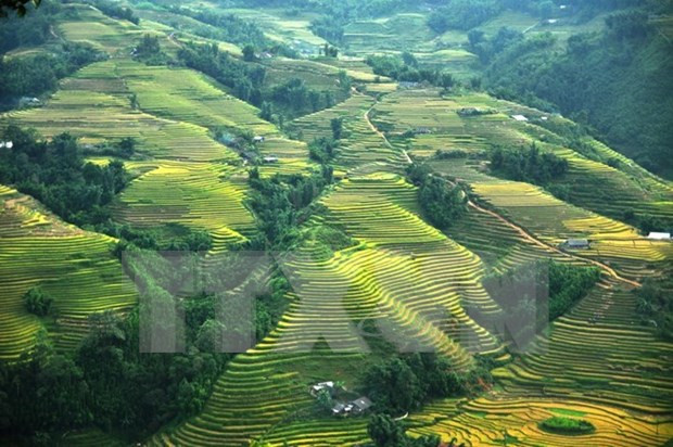 Sapa ofrece múltiples descuentos para impulsar el turismo local ảnh 1 Sapa ofrece múltiples descuentos para impulsar el turismo local ảnh 1