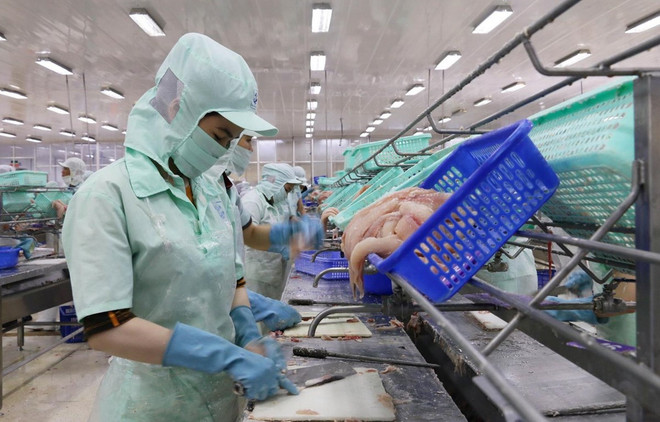 Distinguirá Vietnam a exportadores prestigiosos de 2019 ảnh 1 Distinguirá Vietnam a exportadores prestigiosos de 2019 ảnh 1