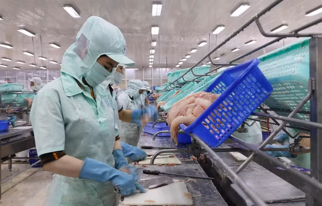Distinguirá Vietnam a exportadores prestigiosos de 2019 ảnh 1