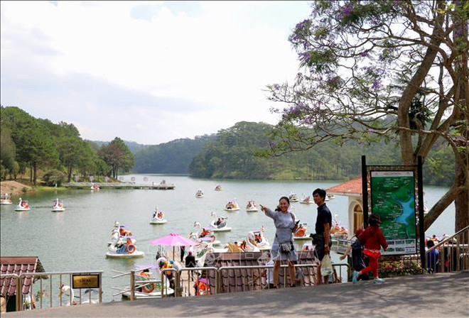 Ciudad vietnamita Da Lat llama la atención de turistas en los días feriados ảnh 1