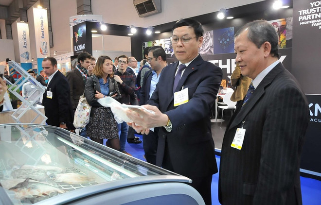 Productos acuícolas de Vietnam buscan posicionarse en el mercado europeo ảnh 1