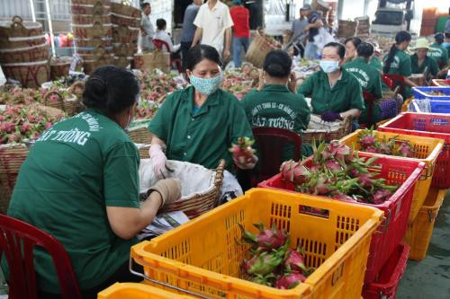 Disminuyen exportaciones agropecuarias vietnamitas en primer cuatrimestre de 2019 ảnh 1