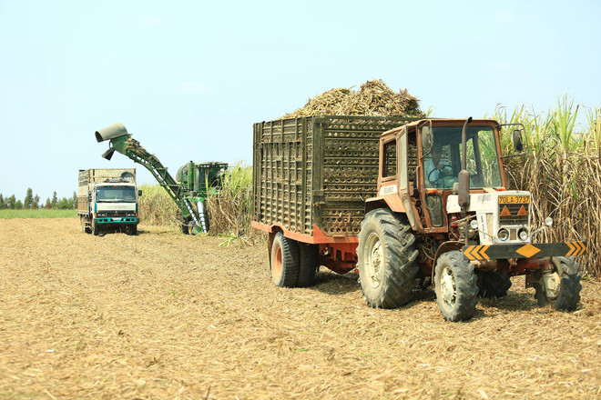 Empresas japonesas exploran ambiente de negocios en provincia vietnamita ảnh 1