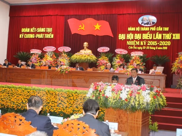  Sesionan asambleas partidistas en Can Tho y Bac Ninh ảnh 1