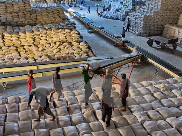 Las exportaciones del arroz de Vietnam merman 18,4 por ciento ảnh 1 Las exportaciones del arroz de Vietnam merman 18,4 por ciento ảnh 1