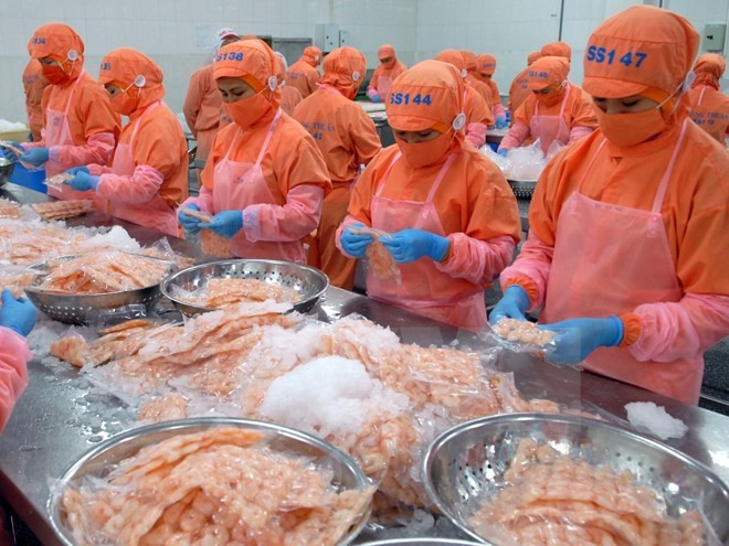 Vietnam aumenta exportación de camarones ảnh 1 Vietnam aumenta exportación de camarones ảnh 1