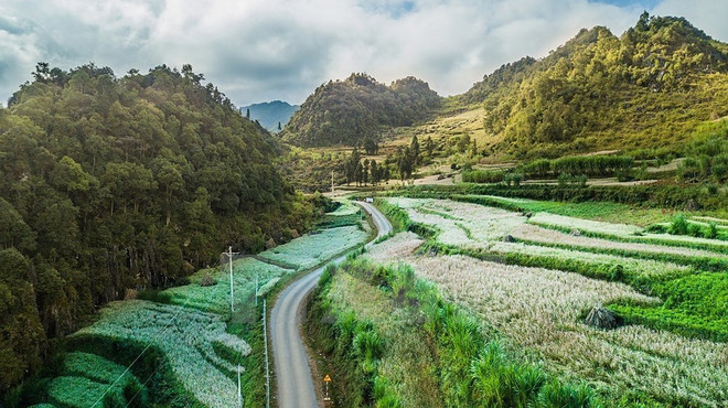 Paisajes majestuosos de zona montañosa de Ha Giang ảnh 9 Paisajes majestuosos de zona montañosa de Ha Giang ảnh 9