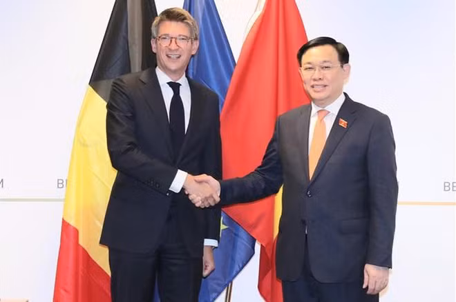 Vietnam busca vigorizar la cooperación con Bélgica ảnh 1