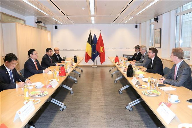 Vietnam busca vigorizar la cooperación con Bélgica ảnh 2
