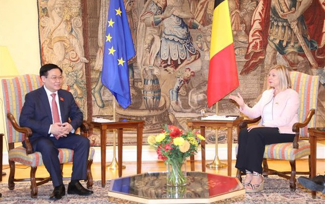 Vietnam aspira a fortalecer relaciones multifacéticas con Bélgica ảnh 1