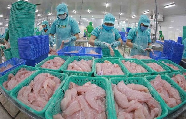 Estados Unidos publica conclusión preliminar sobre impuesto antidumping para pangasius vietnamita ảnh 1 Estados Unidos publica conclusión preliminar sobre impuesto antidumping para pangasius vietnamita ảnh 1