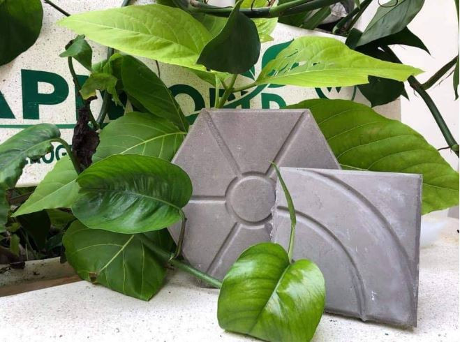 Estudiantes vietnamitas crean ladrillos hechos con desechos plásticos ảnh 1 Estudiantes vietnamitas crean ladrillos hechos con desechos plásticos ảnh 1