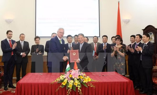Vietnam y Hungría intensifican cooperación judicial ảnh 1