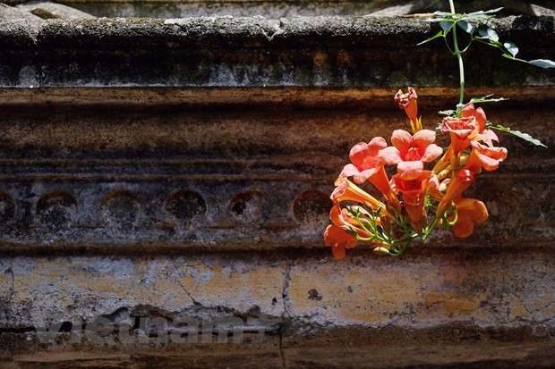 Aldea Cu en los suburbios de Hanoi: lugar donde se conservan arquitectura antigua ảnh 4