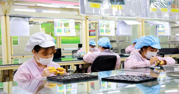 Bac Giang promueve recursos sociales para formación de oficios ảnh 1 Bac Giang promueve recursos sociales para formación de oficios ảnh 1