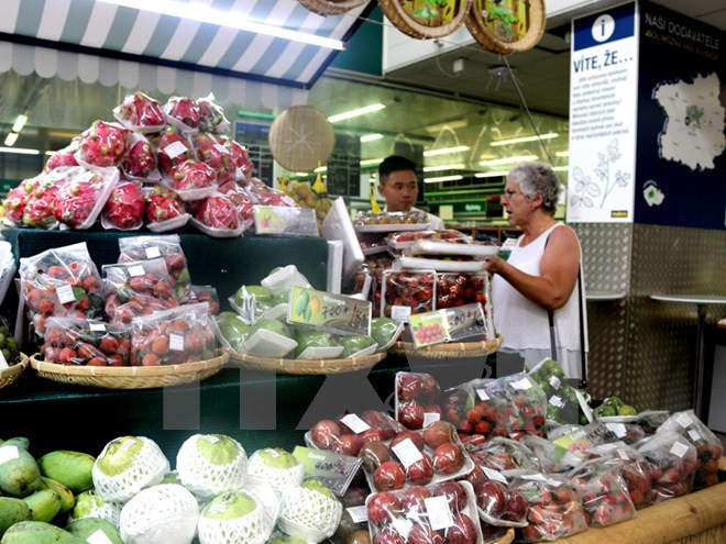 Promueven frutas vietnamitas en República Checa ảnh 1 Promueven frutas vietnamitas en República Checa ảnh 1