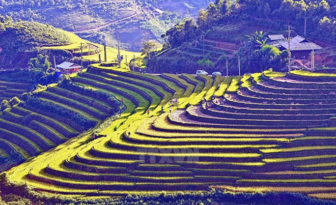 Año Nacional de Turismo de Vietnam se celebrará en provincia de Lao Cai ảnh 1 Año Nacional de Turismo de Vietnam se celebrará en provincia de Lao Cai ảnh 1