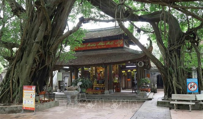 Exhortan a suspender actividades religiosas en Vietnam para prevenir el COVID-19 ảnh 1