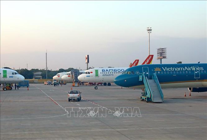 Autoridad de Aviación Civil de Vietnam planea implementar pasaporte de vacunación ảnh 1