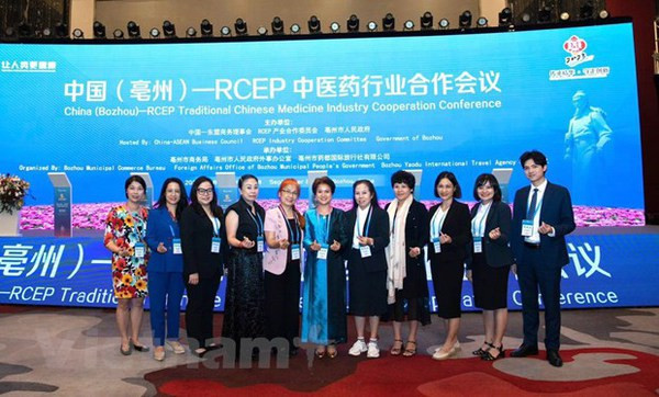 Vietnam participa en Conferencia de Medicina Tradicional ASEAN-China 2023 ảnh 1 Vietnam participa en Conferencia de Medicina Tradicional ASEAN-China 2023 ảnh 1