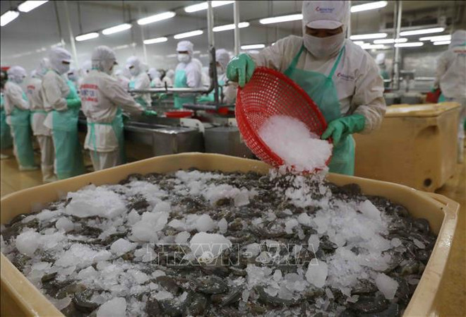 Aconsejan medidas para crecimiento de exportaciones acuícolas de Vietnam ảnh 2