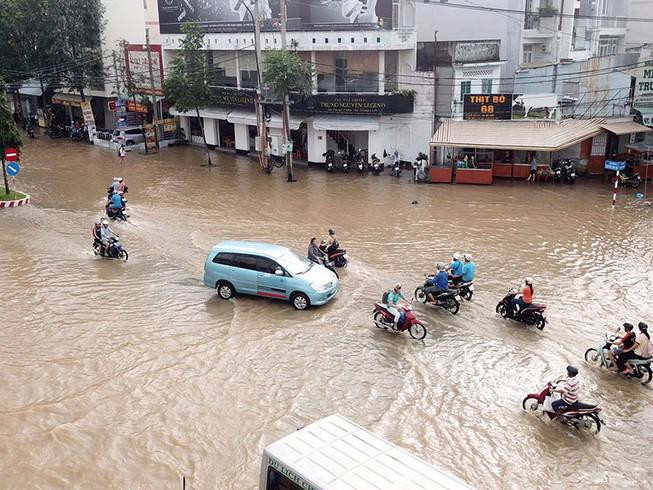 BM financia proyecto de resiliencia climática y desarrollo urbano en provincia vietnamita ảnh 1 BM financia proyecto de resiliencia climática y desarrollo urbano en provincia vietnamita ảnh 1