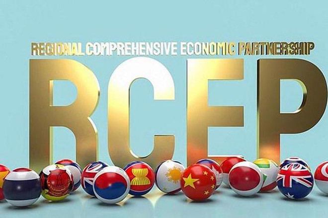 Indonesia ratificará RCEP en primeros seis meses de 2022 ảnh 1