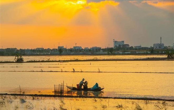 Despliegan proyecto de gestión de recursos naturales en Delta del Mekong ảnh 1 Despliegan proyecto de gestión de recursos naturales en Delta del Mekong ảnh 1
