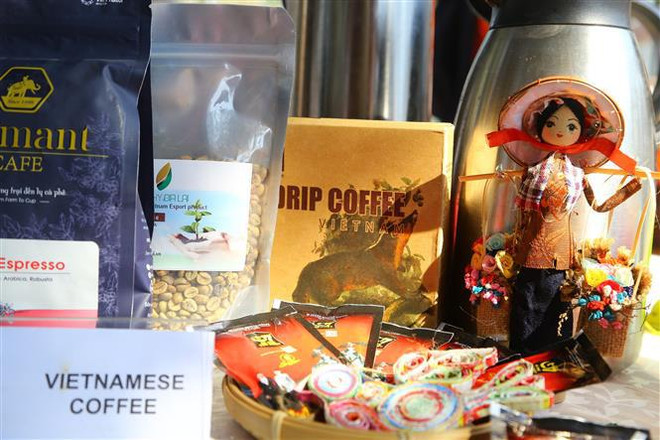 Vietnam participa en diversas actividades de ASEAN en Sudáfrica ảnh 1