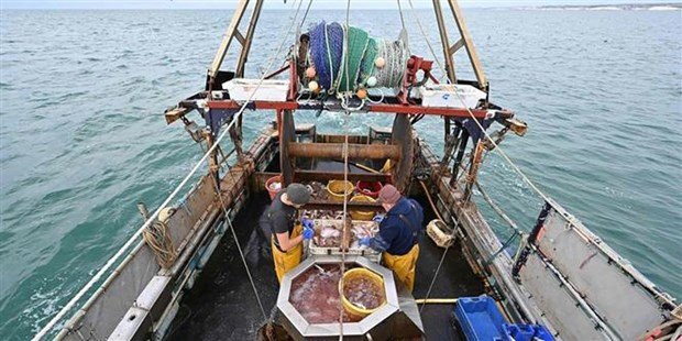 Indonesia y Corea de Sur fortalecen cooperación marítima y de pesca ảnh 1 Indonesia y Corea de Sur fortalecen cooperación marítima y de pesca ảnh 1