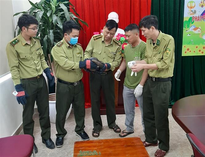 Parque Nacional Cuc Phuong recibe dos animales en el Libro Rojo de Vietnam ảnh 2 Parque Nacional Cuc Phuong recibe dos animales en el Libro Rojo de Vietnam ảnh 2